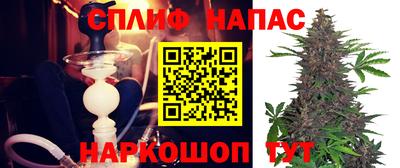 спиды Гусев