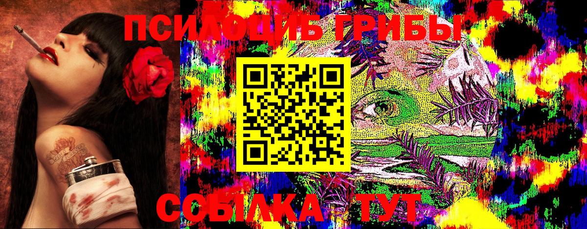 Псилоцибиновые грибы Cubensis  Вход с VPN  Новоалтайск 